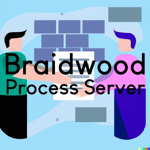 Braidwood, Illinois Process Servers