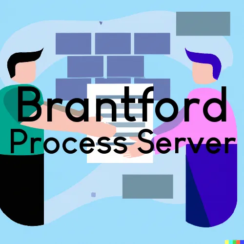 Process Servers in Brantford, North Dakota 