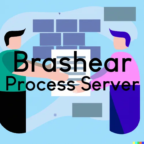Process Servers in Zip Code Area 75420 in Brashear