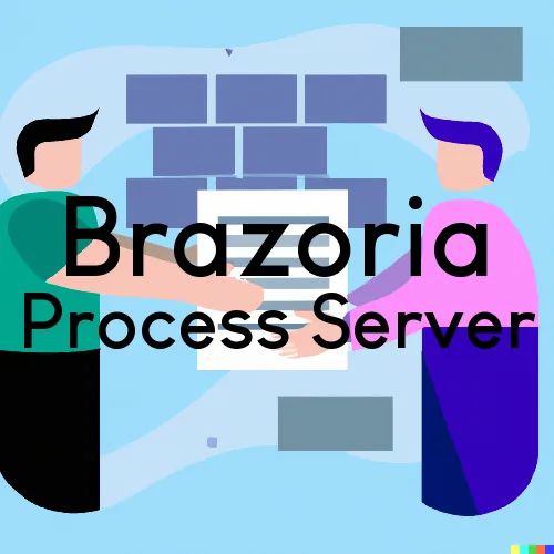 Brazoria Process Server, “Process Servers, Ltd.“ 