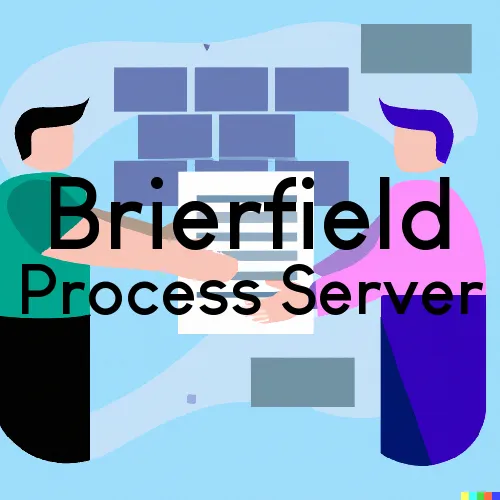 Process Servers in Zip Code Area 35035 in Brierfield