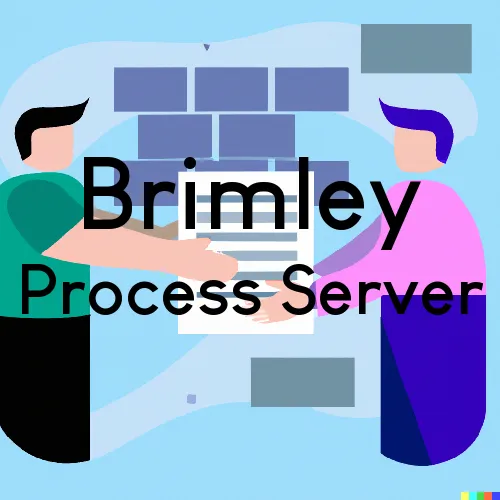 Brimley, Michigan Process Servers