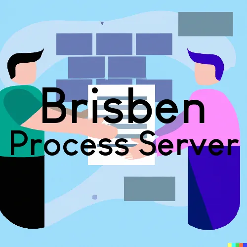 Brisben, NY Process Server, “Thunder Process Servers“ 