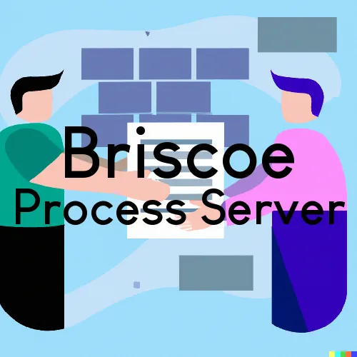 Briscoe, TX Process Servers in Zip Code 79011