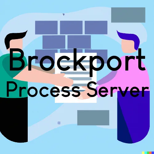 NY Process Servers in Brockport, Zip Code 14420