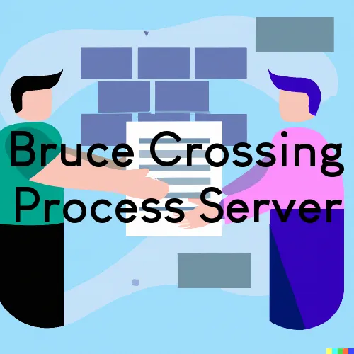 Bruce Crossing Process Server, “Alcatraz Processing“ 
