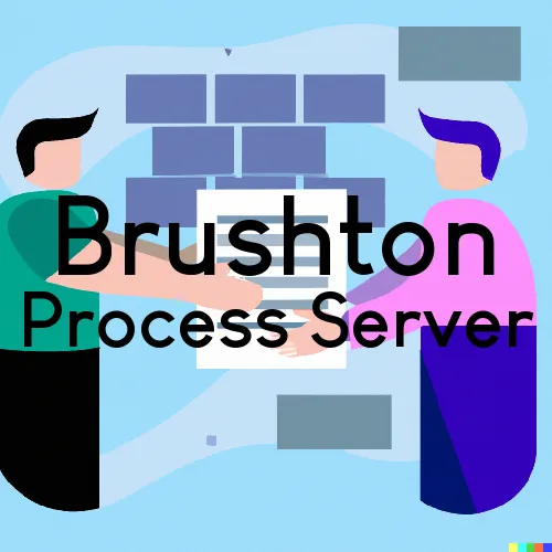 Brushton, NY Process Server, “Rush and Run Process“ 