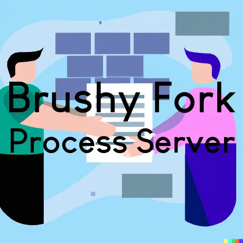 Brushy Fork, WV Process Servers and Courtesy Copy Messengers