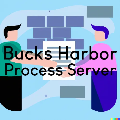 Bucks Harbor, ME Process Server, “Serving by Observing“ 