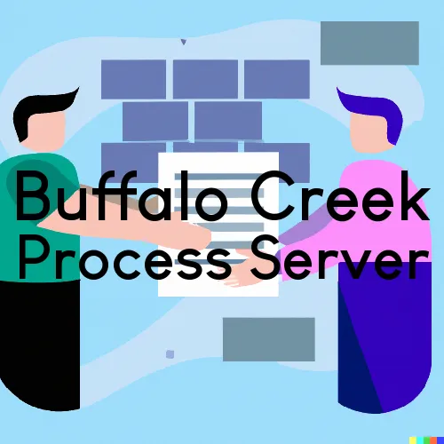 Buffalo Creek, Colorado Process Server, “Server One“ 