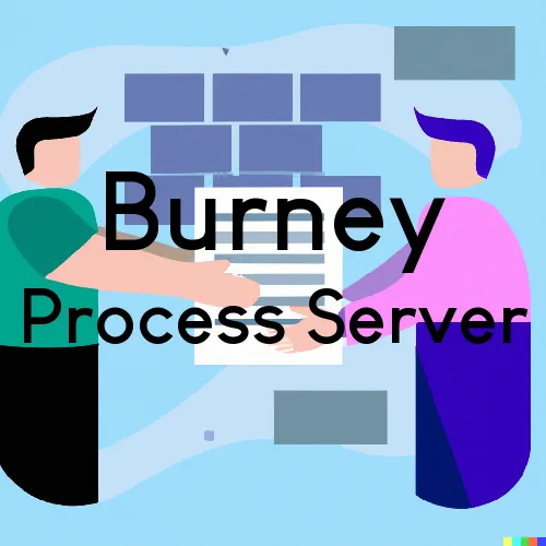 Process Servers in Zip Code Area 47240 in Burney