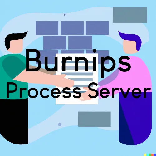Burnips, MI Process Servers in Zip Code 49314