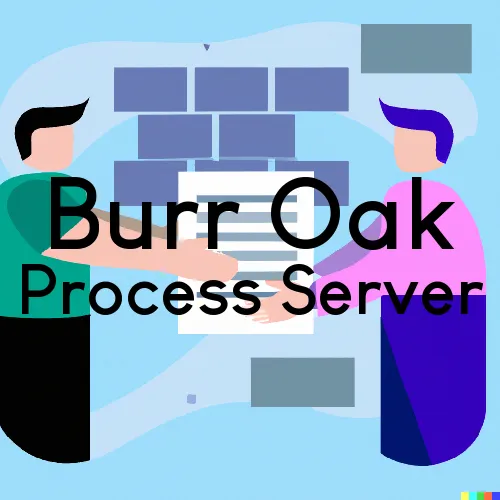 Couriers and Process Servers in Burr Oak, Indiana