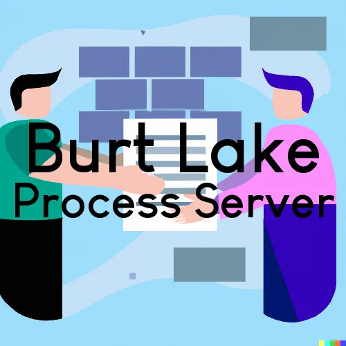 Burt Lake, Michigan Process Servers and Field Agents