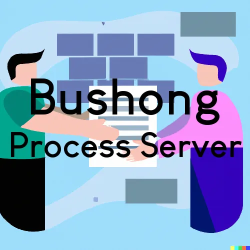 Bushong, KS Process Servers and Courtesy Copy Messengers