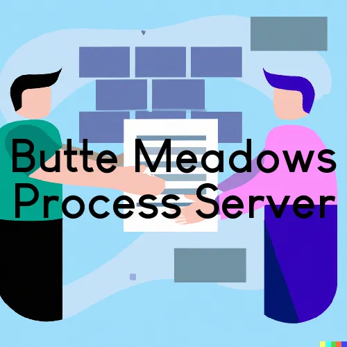 Butte Meadows Process Server, “Chase and Serve“ 