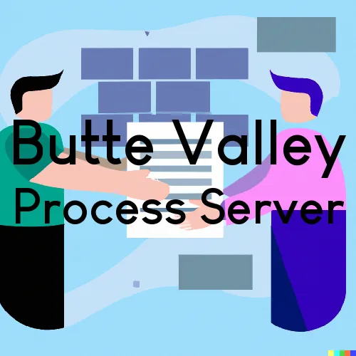 Butte Valley, CA Process Servers in Zip Code 95965