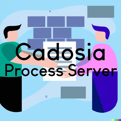Cadosia, NY Process Server, “Server One“ 