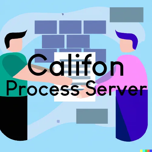 Califon, NJ Process Servers in Zip Code 07830