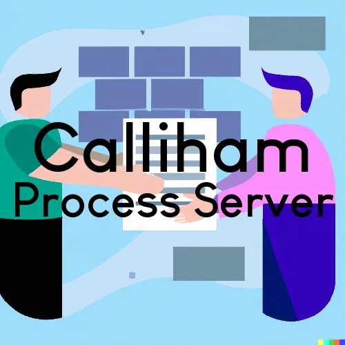 Calliham, TX Process Servers in Zip Code 78007