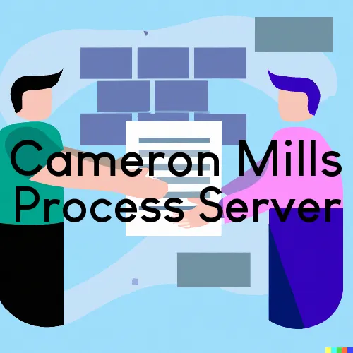 Cameron Mills, NY Process Server, “Serving by Observing“ 