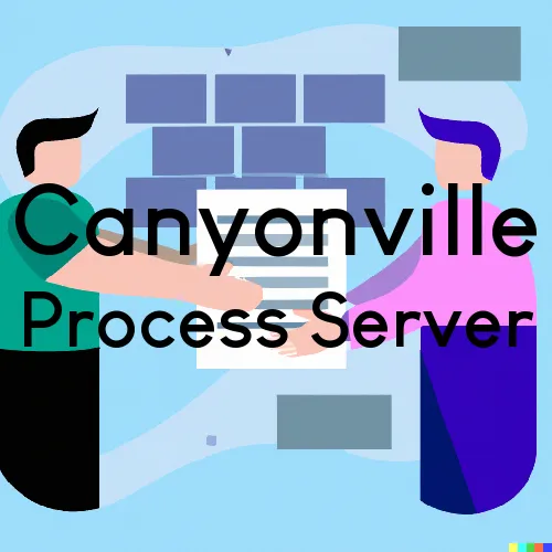 Canyonville Process Server, “Serving by Observing“ 