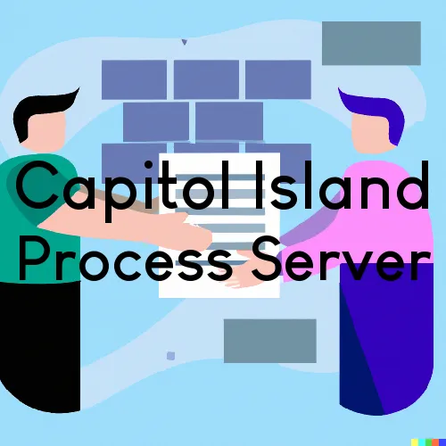 Capitol Island, ME Process Server, “Serving by Observing“ 