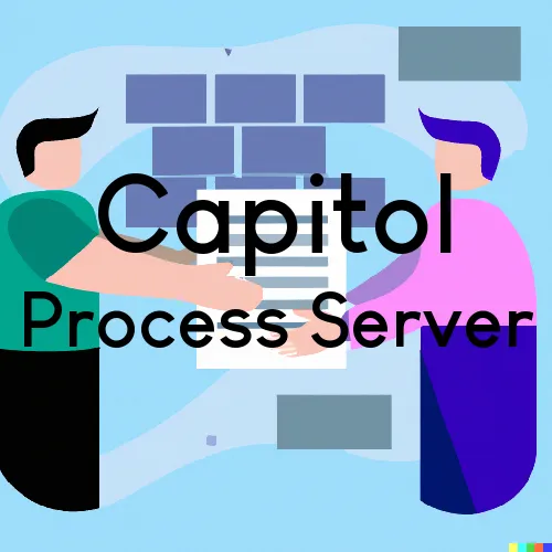 Courthouse Runner and Process Servers in Capitol