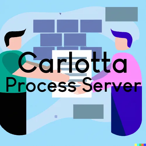 Carlotta, CA Process Servers in Zip Code 95528