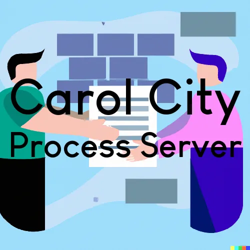 Carol City, Florida Process Servers for Registered Agents