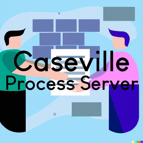 Caseville Process Server, “Process Servers, Ltd.“ 