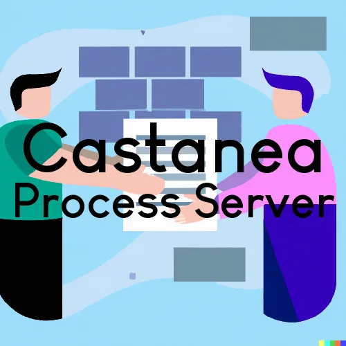 Castanea, PA Process Server, “Serving by Observing“ 