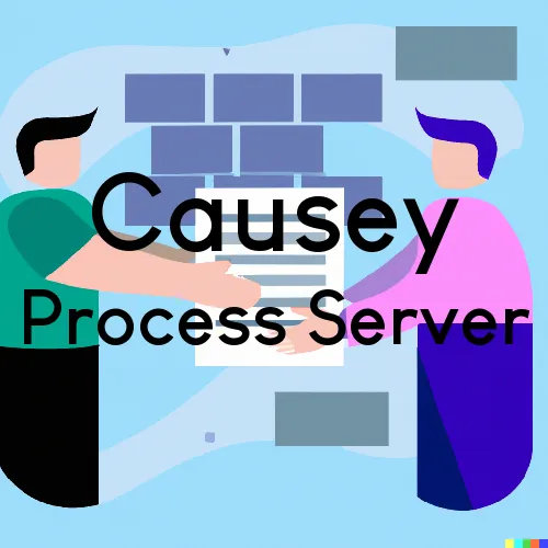 Causey, NM Process Server, “Corporate Processing“ 