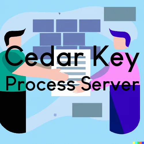 Cedar Key, FL Process Server, “Serving by Observing“ 