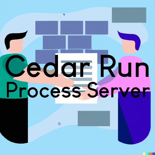 Cedar Run, PA Court Messengers and Process Servers