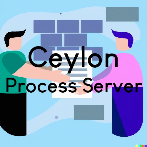 MN Process Servers in Ceylon, Zip Code 56121