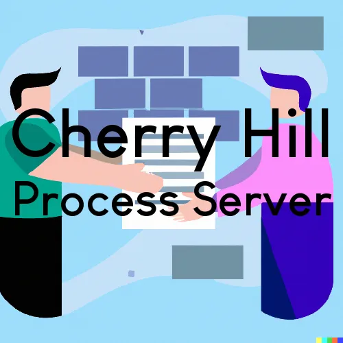 Cherry Hill, New Jersey Subpoena Process Servers