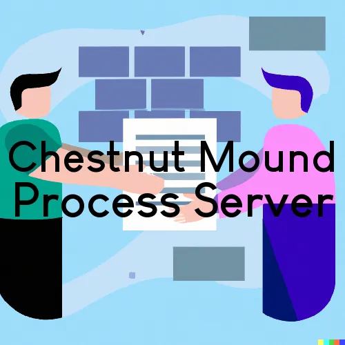 Chestnut Mound Process Server, “Serving by Observing“ 