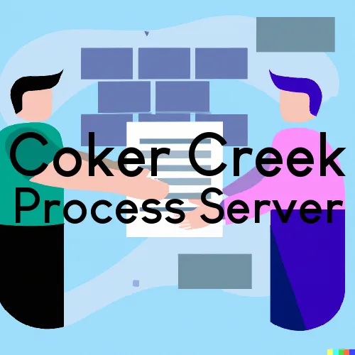 Coker Creek, TN Process Servers in Zip Code 37314