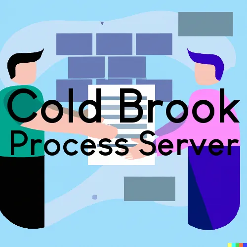 Cold Brook, NY Process Server, “Serving by Observing“ 