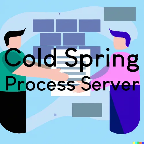 Cold Spring Process Server, “Process Servers, Ltd.“ 