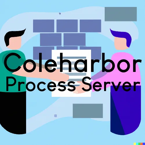 Coleharbor, North Dakota Process Servers