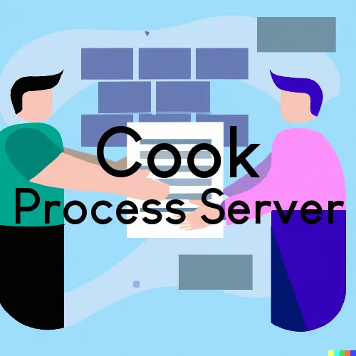 Cook, Minnesota Process Servers