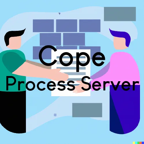 Cope, South Carolina Process Servers and Field Agents
