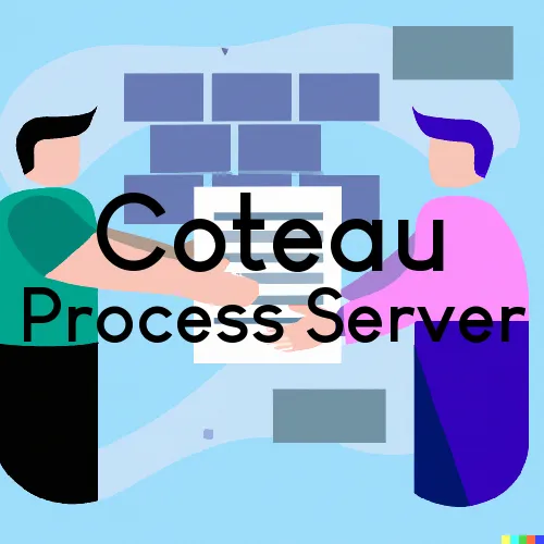 Coteau, ND Process Server, “On time Process“ 