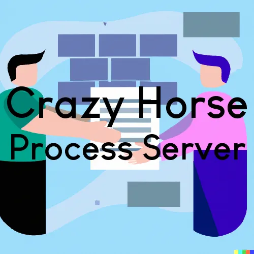 Crazy Horse, SD Process Servers and Courtesy Copy Messengers