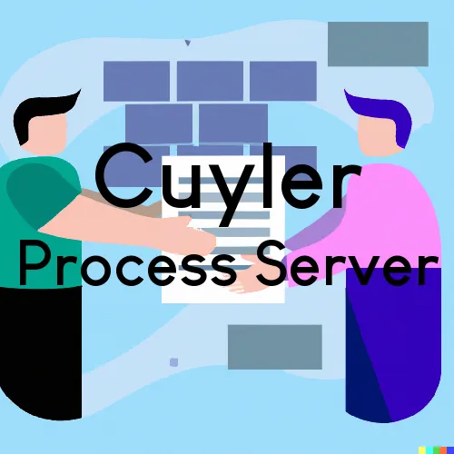 Cuyler, NY Process Servers in Zip Code 13158