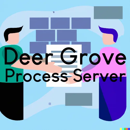 Deer Grove, IL Process Server, “Serving by Observing“ 