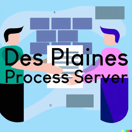 Des Plaines, Illinois Process Servers