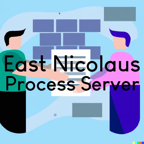 CA Process Servers in East Nicolaus, Zip Code 95659